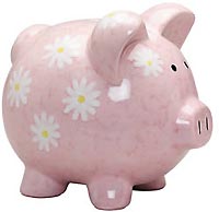 Pink Piggy Banks From The Pink Superstore
