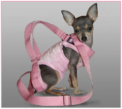 Puppy Purse Puppy Carriers From The Pink Superstore