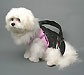 PuppyPurse Pink Biker Baby Puppy Carriers From The Pink Superstore