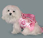 PuppyPurse Summer Bark Puppy Carriers From The Pink Superstore