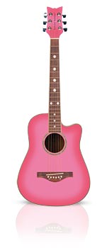 Daisy Rock Wildwood Acoustic Guitar From The Pink Superstore