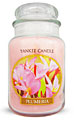 Yankee Candles From The Pink Superstore