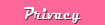 The Privacy Policy of The Pink Superstore